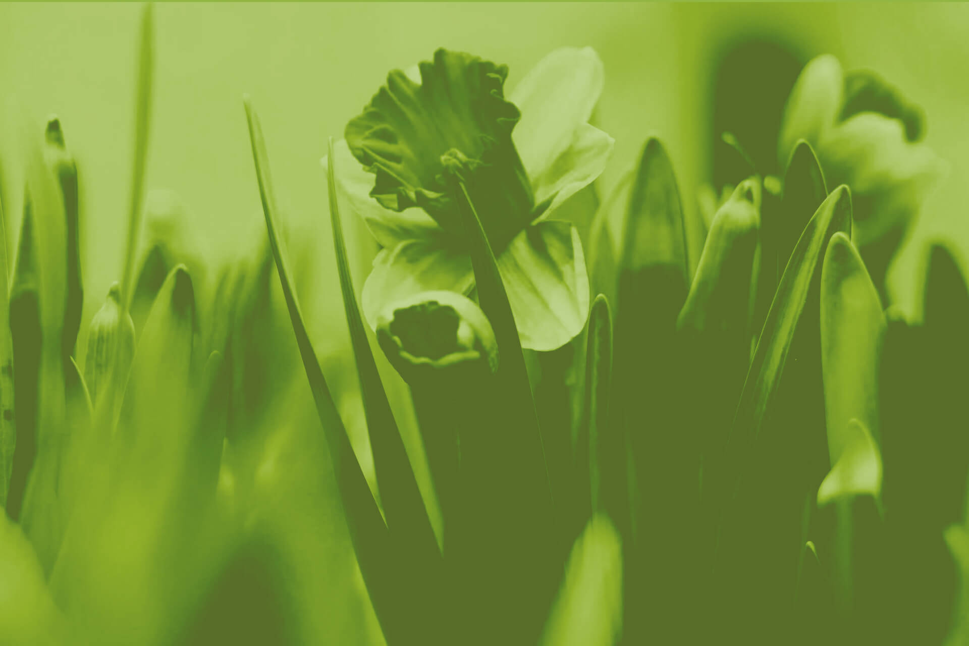 Kerstin Hobusch Slider Ostern