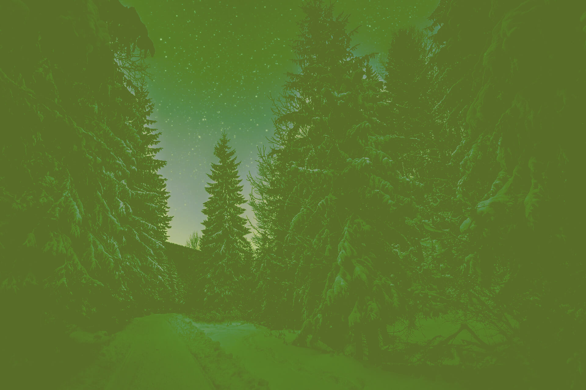 Kerstin Hobusch Slider Winter